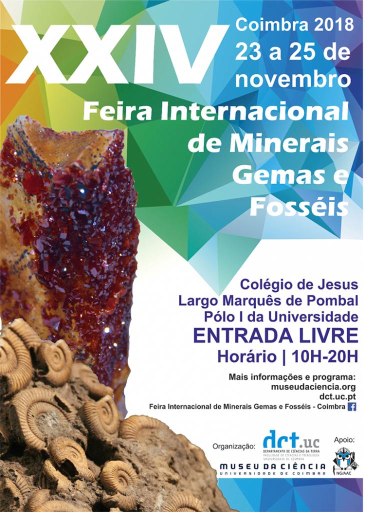 Cartaz XXIV FIMGFC Divulgação