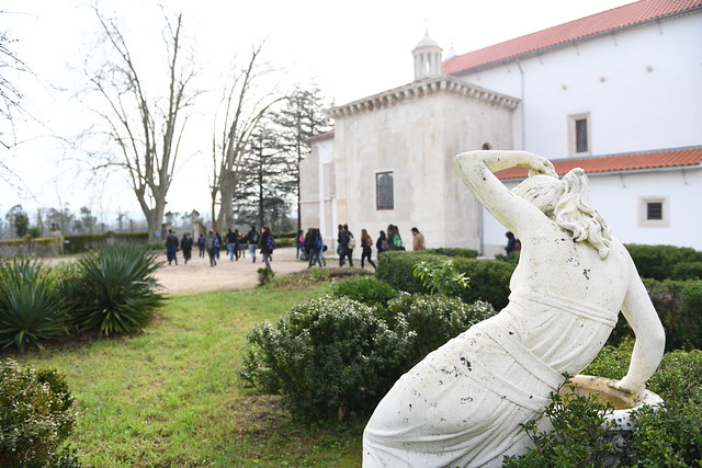 UC. Plantas em São Marcos