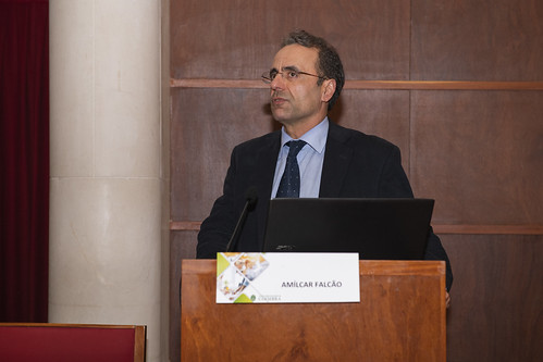 UC | Paulo Amaral