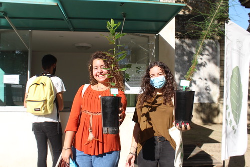 UC.Plantas 2020